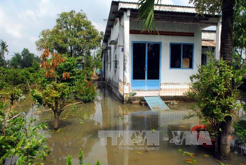 Nam Bộ triều cường vượt báo động 3 ảnh 1